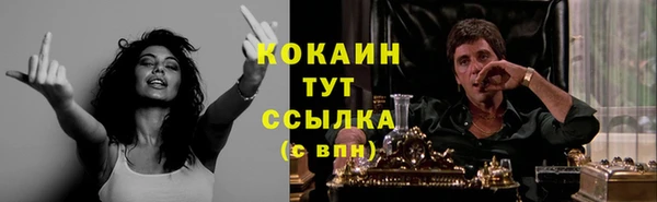 2c-b Горно-Алтайск