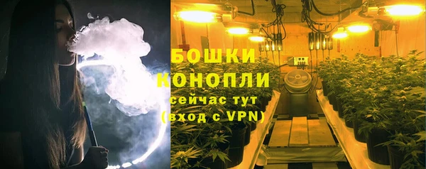 2c-b Горно-Алтайск