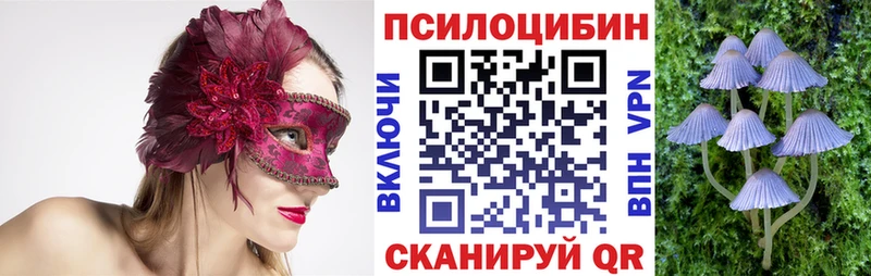 Галлюциногенные грибы мицелий  Данков 